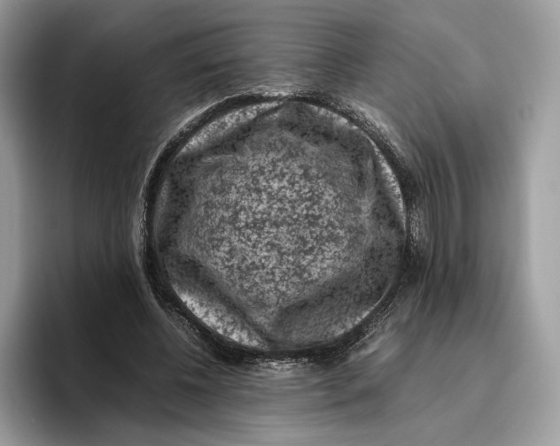 X0000095950540200802011104