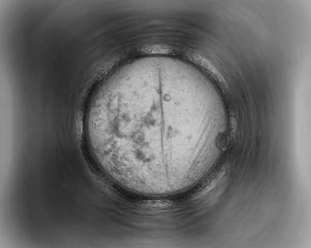 X0000095950541200802011104