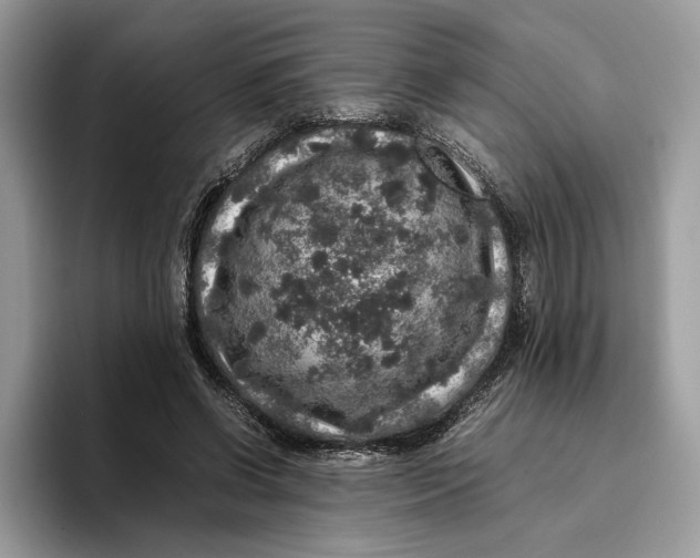 X0000095950542200802011104