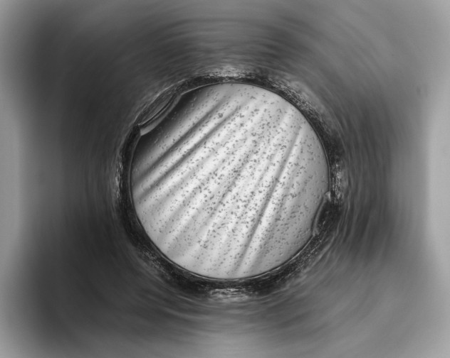 X0000095950544200802011104