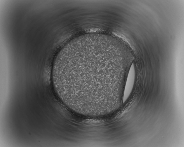 X0000095950545200802011104