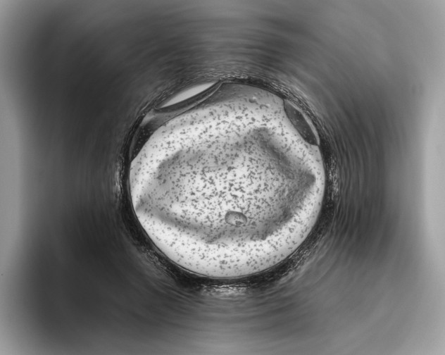 X0000095950546200802011104