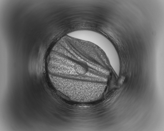 X0000095950547200802011104