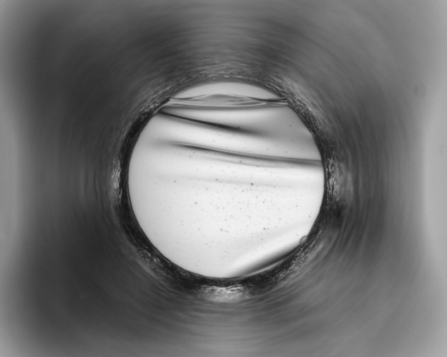 X0000095950548200802011104