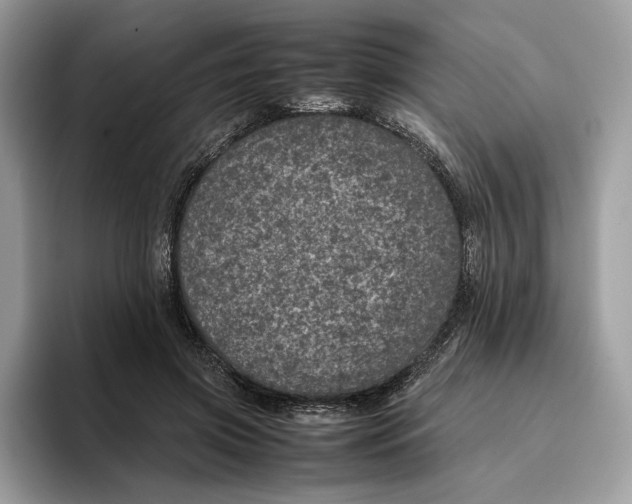 X0000095950549200802011104