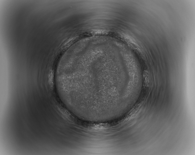 X0000095950550200802011104