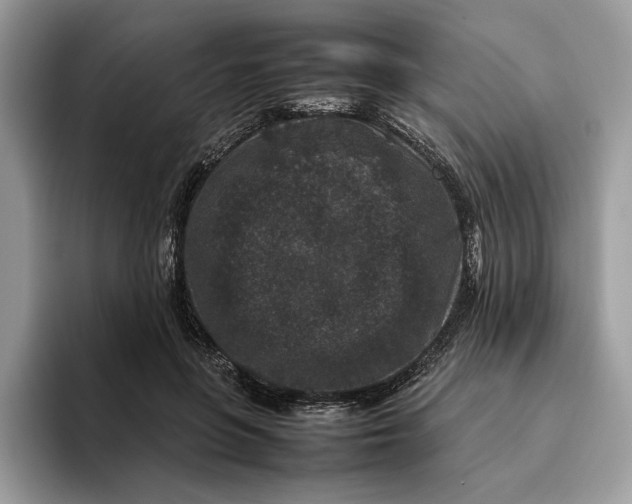 X0000095950551200802011104