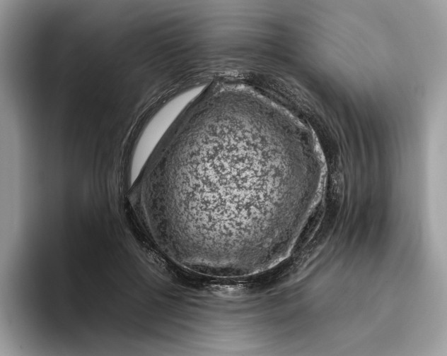 X0000095950552200802011104