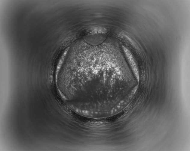 X0000095950553200802011104