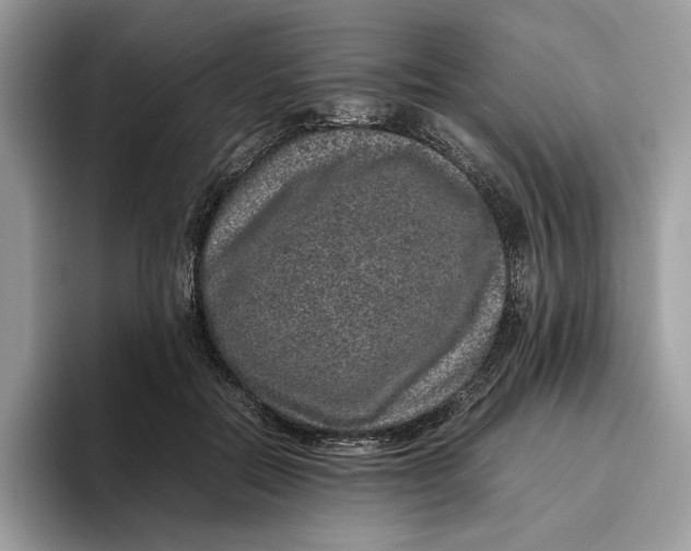 X0000095950554200802011104