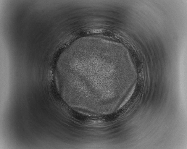 X0000095950555200802011104