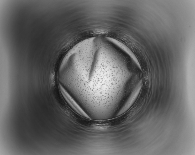 X0000095950556200802011104