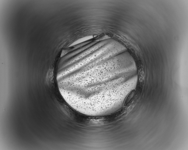 X0000095950560200802011104