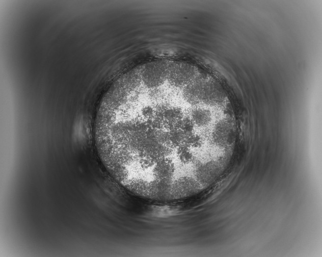 X0000095950561200802011104