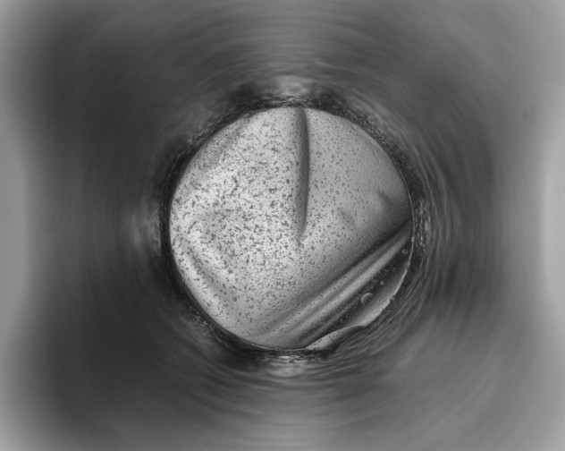 X0000095950562200802011104