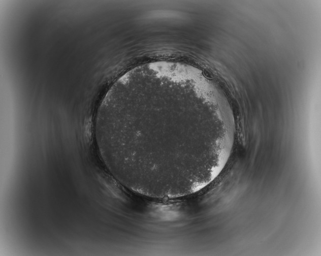 X0000095950563200802011104