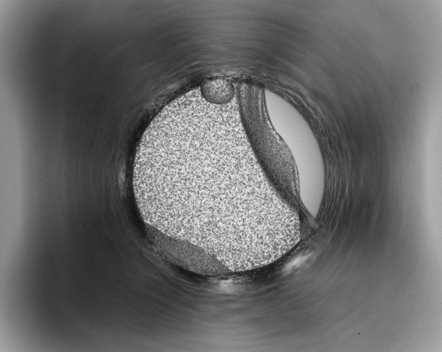 X0000095950564200802011104