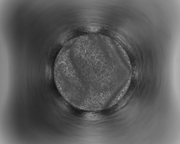 X0000095950568200802011104