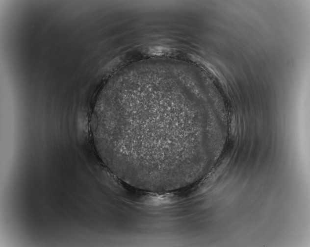 X0000095950569200802011104