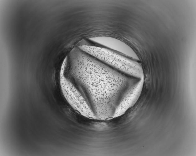 X0000095950572200802011104