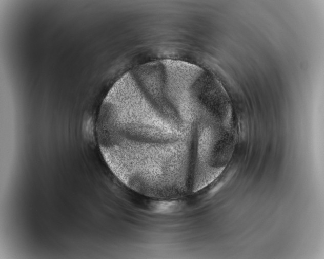 X0000095950575200802011104