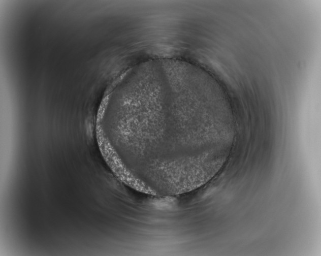 X0000095950576200802011104