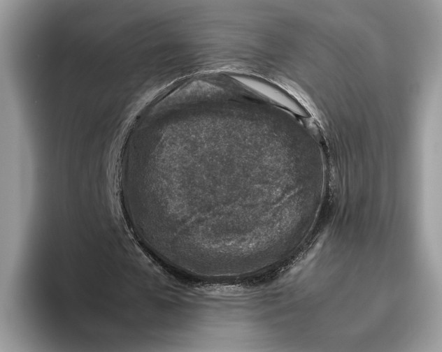 X0000095950577200802011103