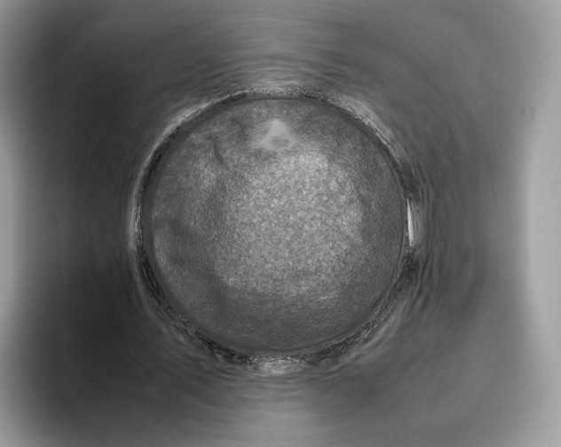 X0000095950579200802011103