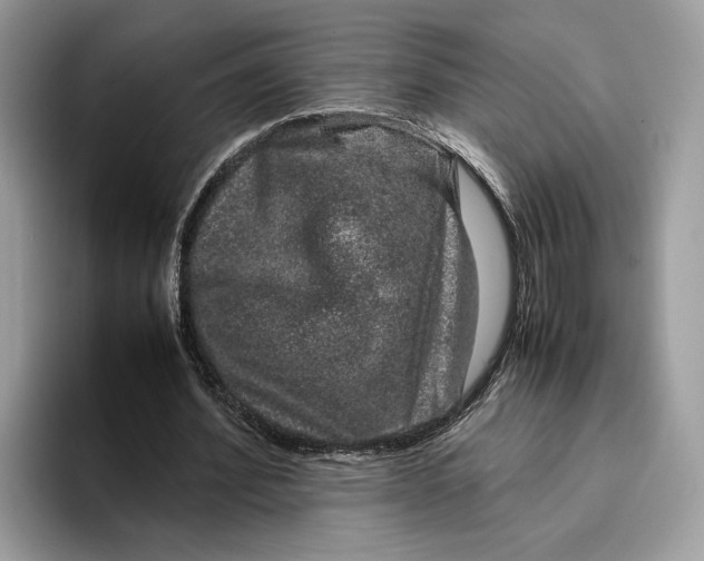 X0000095950580200802011103