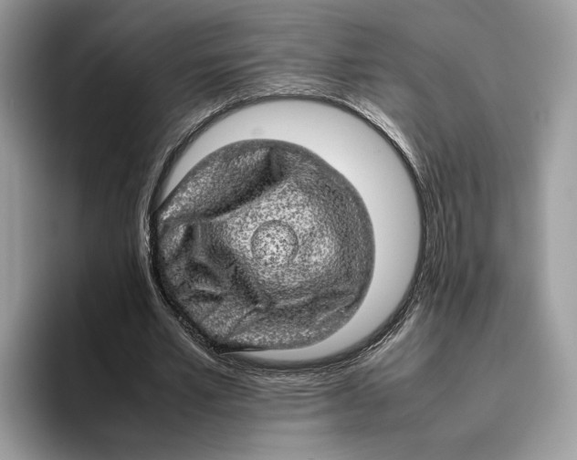 X0000095950581200802011103