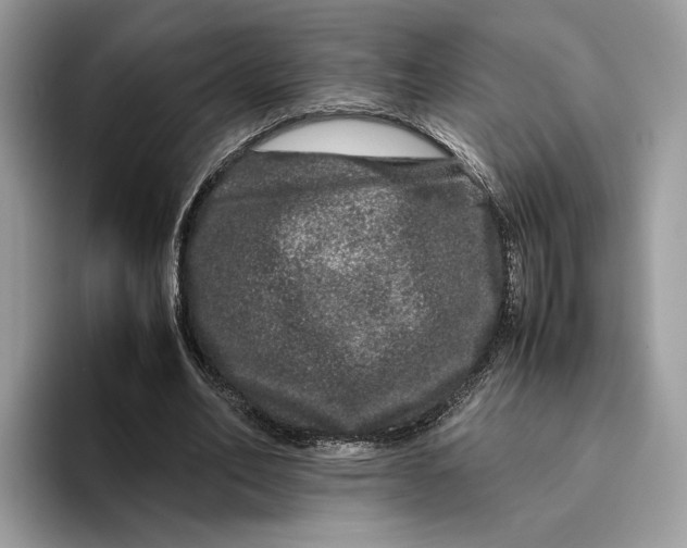 X0000095950582200802011103