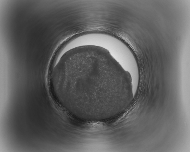 X0000095950583200802011103