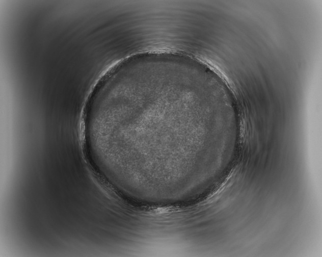 X0000095950584200802011103