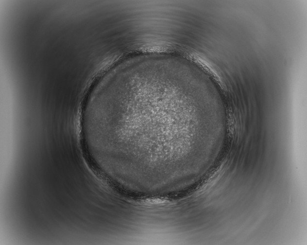 X0000095950586200802011103