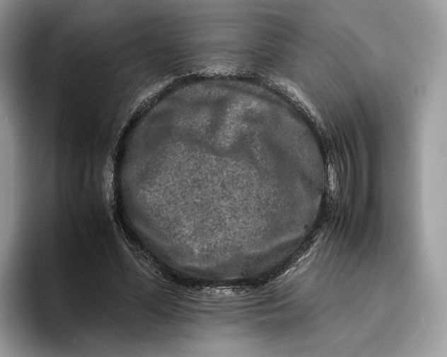 X0000095950588200802011103