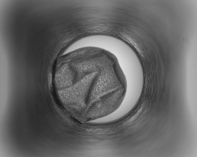 X0000095950589200802011103