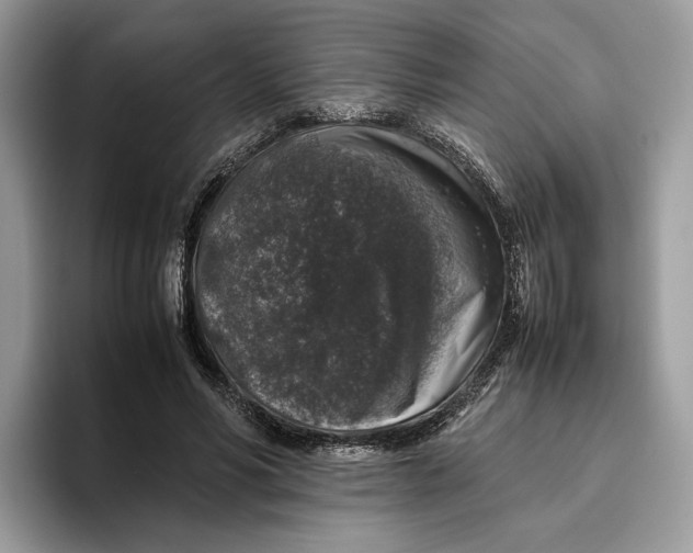 X0000095950590200802011103