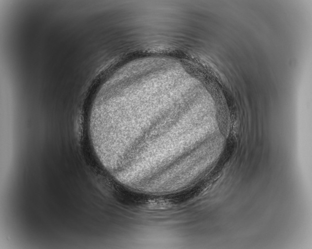 X0000095950591200802011103