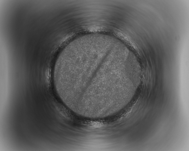 X0000095950592200802011103