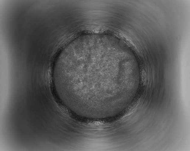 X0000095950594200802011103