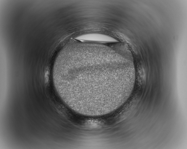 X0000095950596200802011103