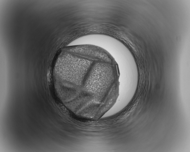 X0000095950597200802011103