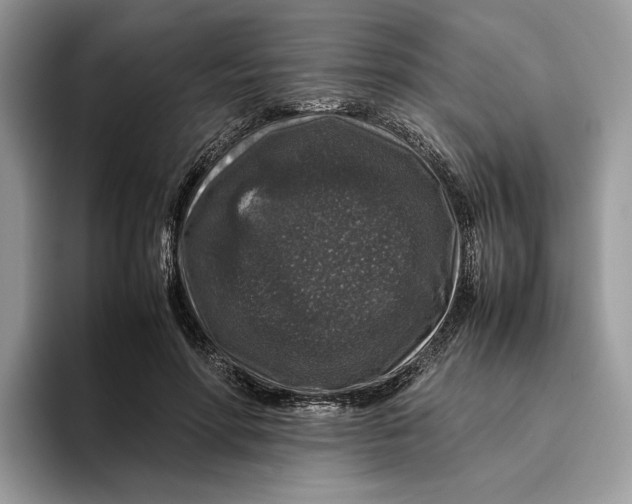 X0000095950598200802011103