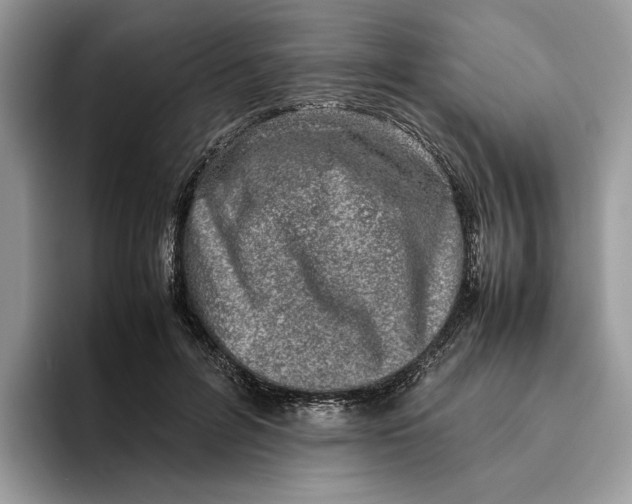 X0000095950600200802011103