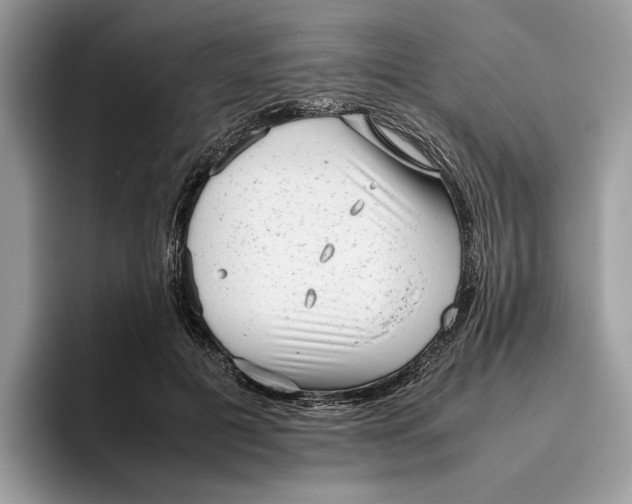 X0000095950601200802011103