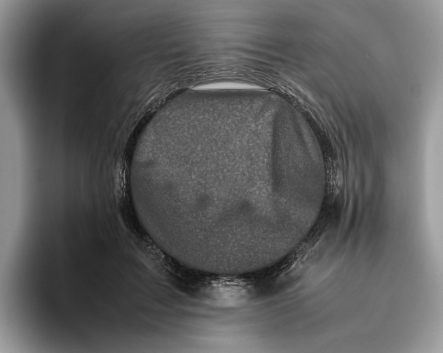 X0000095950603200802011103