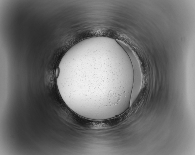 X0000095950605200802011103