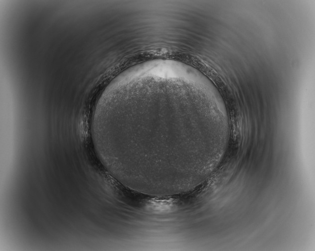 X0000095950606200802011103