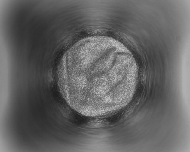 X0000095950607200802011103