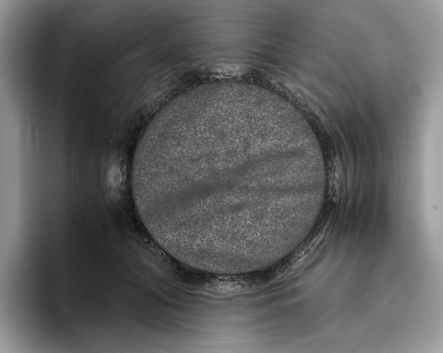 X0000095950608200802011103